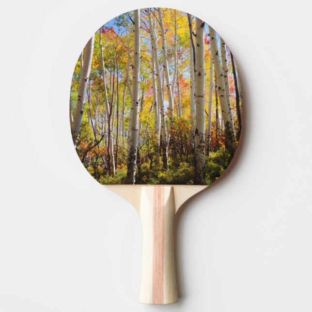 Fall colours of Aspen trees 5 Ping Pong Paddle (Front)