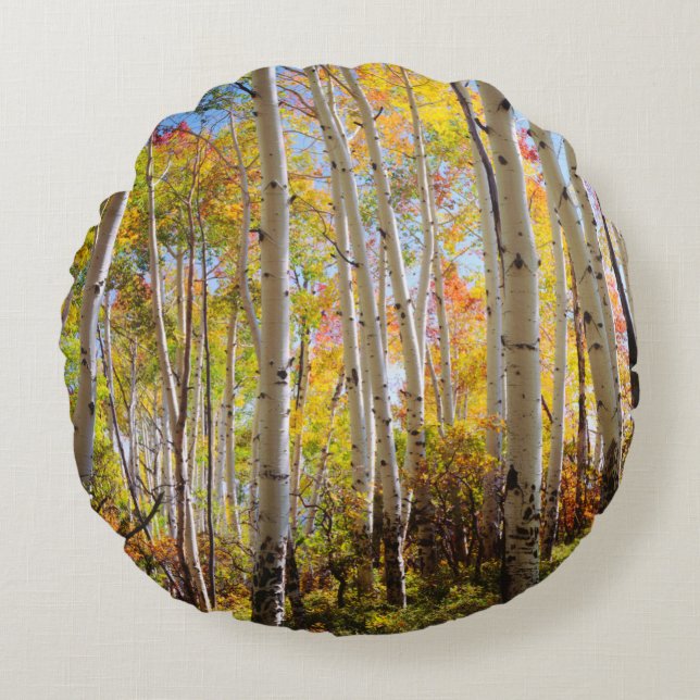 Fall colours of Aspen trees 5 Round Cushion (Front)