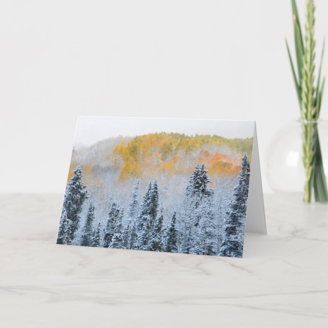 Fall Colours of Aspens & Fresh Snow Keebler Pass Card (Front)