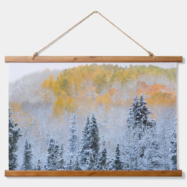 Fall Colours of Aspens & Fresh Snow Keebler Pass Hanging Tapestry (Front)