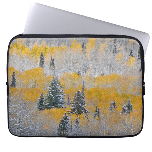 Fall Colours of Aspens & Fresh Snow Keebler Pass Laptop Sleeve (Front)