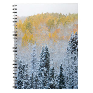 Fall Colours of Aspens & Fresh Snow Keebler Pass Notebook