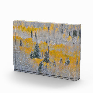 Fall Colours of Aspens & Fresh Snow Keebler Pass Photo Block
