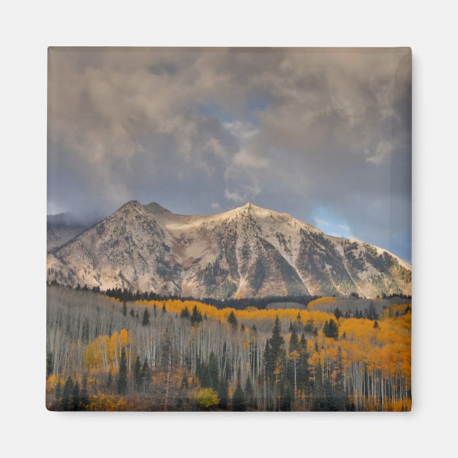 Fall Colours of Aspens, Keebler Pass Magnet (Front)