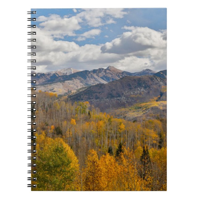 Fall Colours of Aspens & Oaks Keebler Pass Notebook (Front)