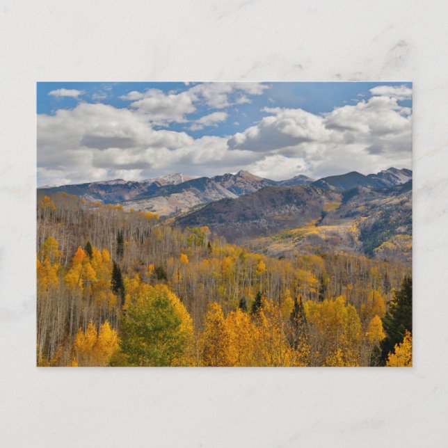 Fall Colours of Aspens & Oaks Keebler Pass Postcard (Front)