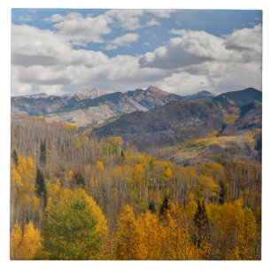 Fall Colours of Aspens & Oaks Keebler Pass Tile