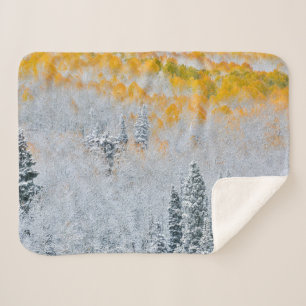 Fall Colours of Aspens Rocky Mountains, Colorado Sherpa Blanket
