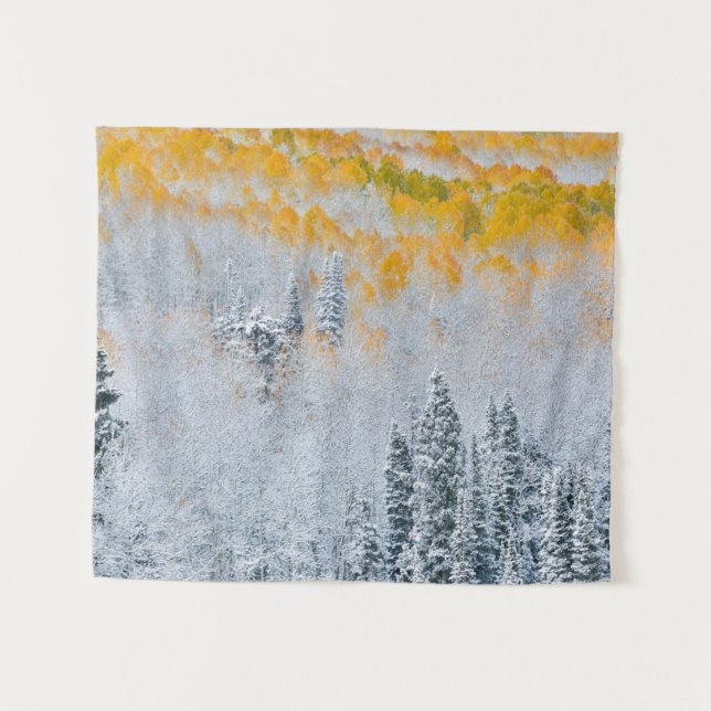 Fall Colours of Aspens | Rocky Mountains, Colorado Tapestry (Front (Horizontal))