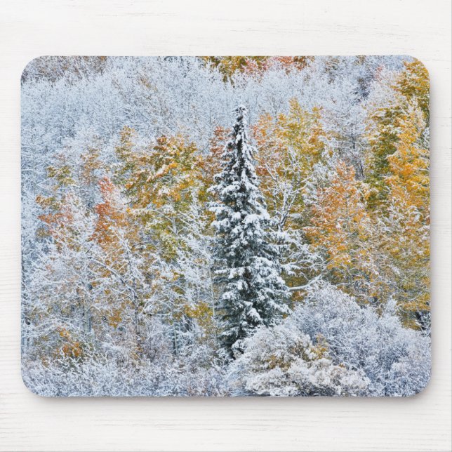 Fall Colours of Aspens & Snow Keebler Pass Mouse Pad (Front)