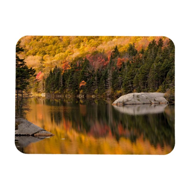 Fall Colours Reflected on Beaver Pond Magnet (Horizontal)