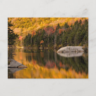 Fall Colours Reflected on Beaver Pond Postcard