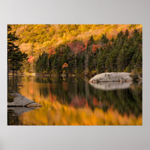 Fall Colours Reflected on Beaver Pond Poster