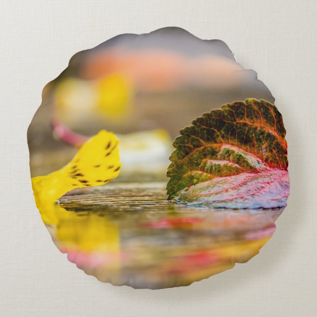 Fall colours round cushion (Back)
