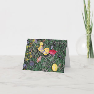 Fall Colours Sympathy Card