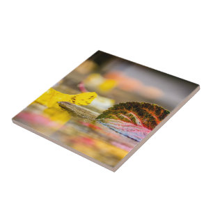 Fall colours tile