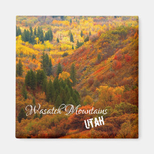 Fall Colours, Wasatch Mountains, Northern Utah Mag Magnet