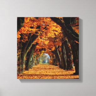 Fall  Country Road Canvas Print