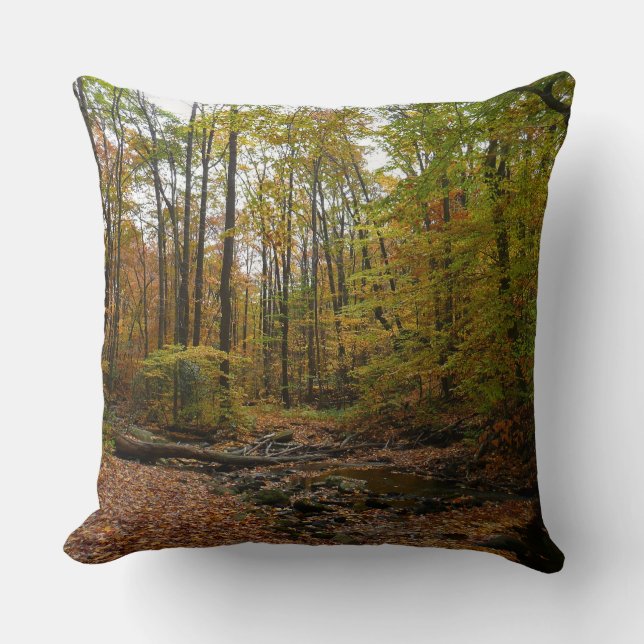 Fall Creek at Laurel Hill State Park Pennsylvania Cushion (Front)