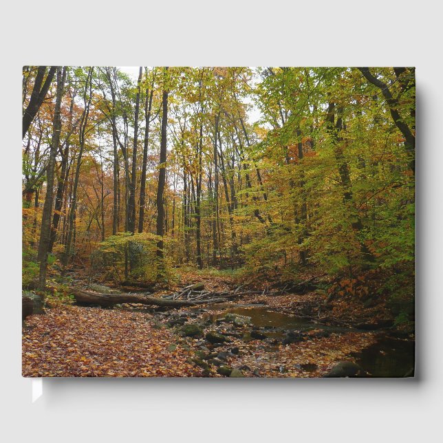 Fall Creek at Laurel Hill State Park Pennsylvania Guest Book (Front)
