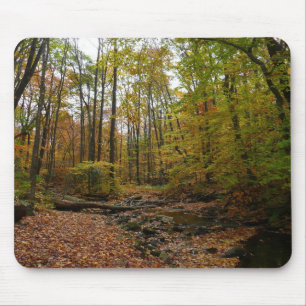 Fall Creek at Laurel Hill State Park Pennsylvania Mouse Pad