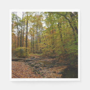 Fall Creek at Laurel Hill State Park Pennsylvania Napkin