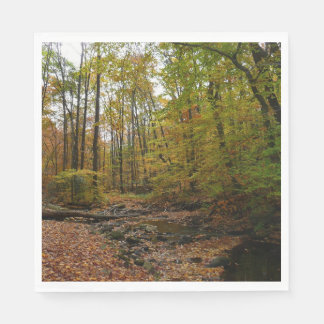 Fall Creek at Laurel Hill State Park Pennsylvania Napkin