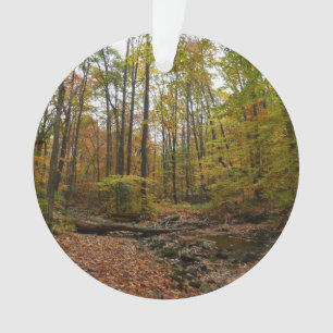 Fall Creek at Laurel Hill State Park Pennsylvania Ornament