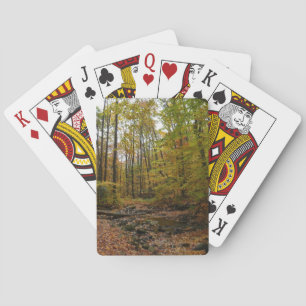 Fall Creek at Laurel Hill State Park Pennsylvania Playing Cards