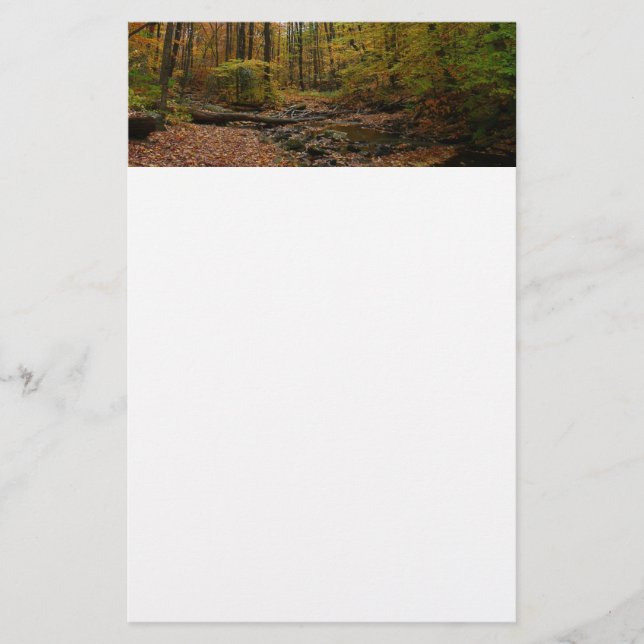 Fall Creek at Laurel Hill State Park Pennsylvania Stationery (Front)