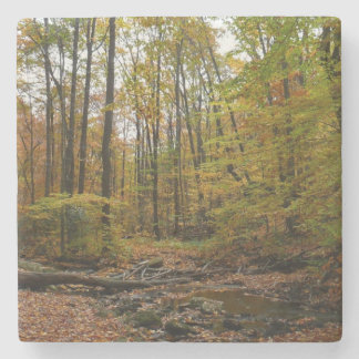 Fall Creek at Laurel Hill State Park Pennsylvania Stone Coaster