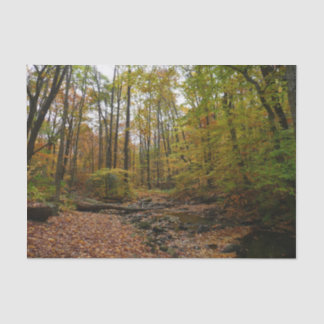 Fall Creek at Laurel Hill State Park Pennsylvania Tissue Paper
