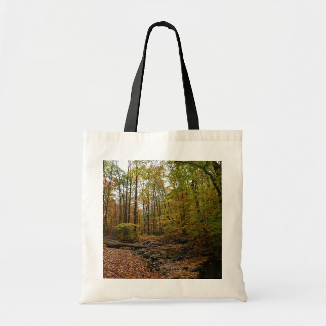 Fall Creek at Laurel Hill State Park Pennsylvania Tote Bag (Front)