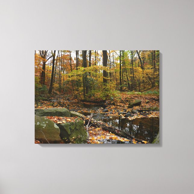 Fall Creek with Reflection at Laurel Hill Park Canvas Print (Front)