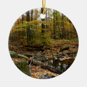 Fall Creek with Reflection at Laurel Hill Park Ceramic Tree Decoration