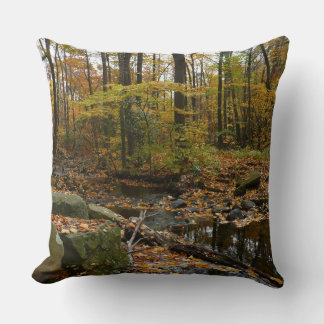 Fall Creek with Reflection at Laurel Hill Park Cushion