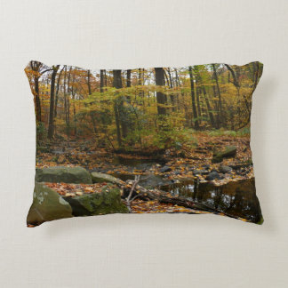 Fall Creek with Reflection at Laurel Hill Park Decorative Cushion