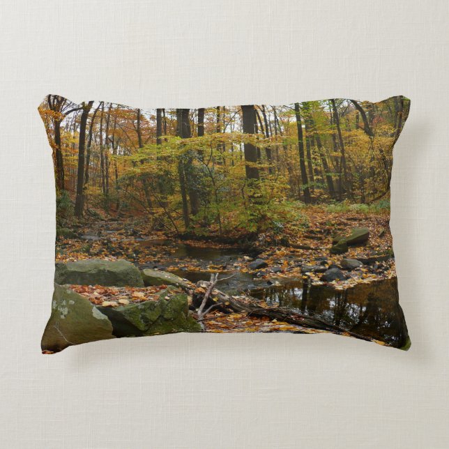 Fall Creek with Reflection at Laurel Hill Park Decorative Cushion (Front)