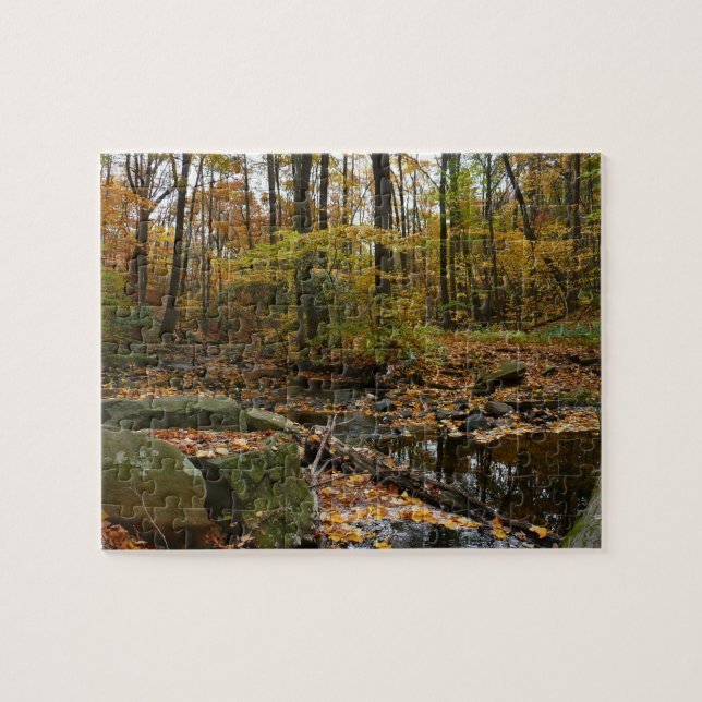 Fall Creek with Reflection at Laurel Hill Park Jigsaw Puzzle (Horizontal)