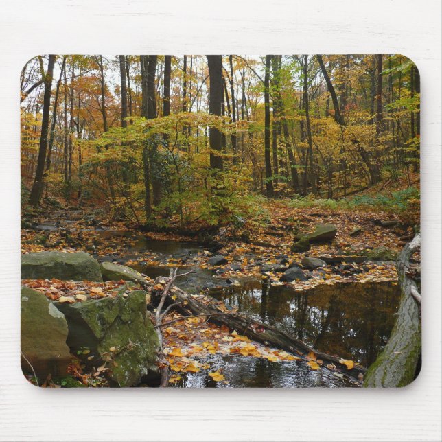 Fall Creek with Reflection at Laurel Hill Park Mouse Pad (Front)