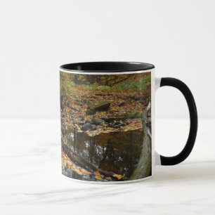 Fall Creek with Reflection at Laurel Hill Park Mug