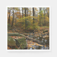 Fall Creek with Reflection at Laurel Hill Park
