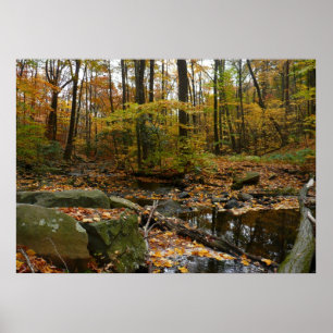 Fall Creek with Reflection at Laurel Hill Park Poster