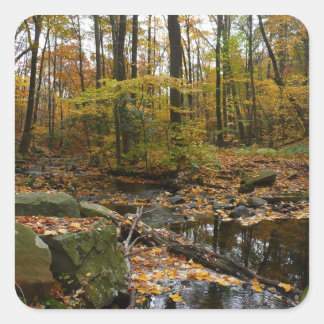 Fall Creek with Reflection at Laurel Hill Park Square Sticker
