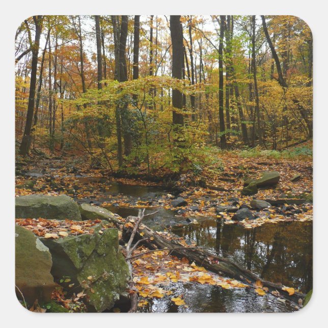 Fall Creek with Reflection at Laurel Hill Park Square Sticker (Front)