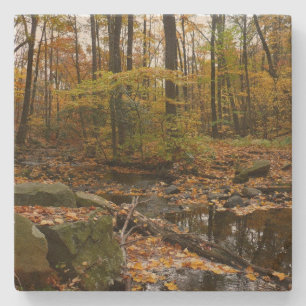 Fall Creek with Reflection at Laurel Hill Park Stone Coaster