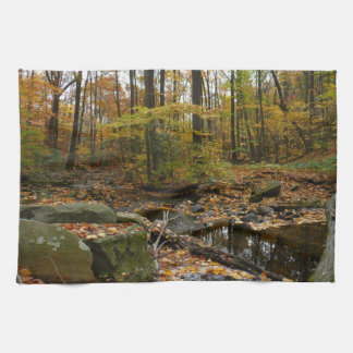 Fall Creek with Reflection at Laurel Hill Park Tea Towel