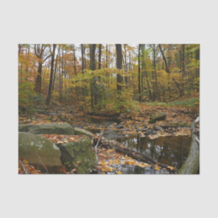 Fall Creek with Reflection at Laurel Hill Park Tissue Paper