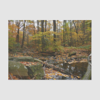 Fall Creek with Reflection at Laurel Hill Park Tissue Paper