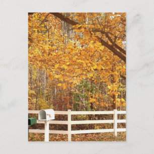 Fall Day postcard